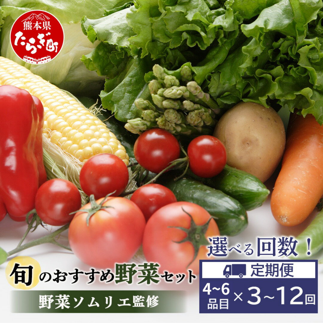 【ふるさと納税】回数選べる 定期便 ≪ 野菜ソムリエ 監修 ≫ 旬の おすすめ 野菜 セット 4〜6品 (1〜2名様向け) 3回／6回／12回 定期便 野菜 獲れたて 直送 旬 熊本県 多良木町 やさい ソムリエ 厳選 おまかせ おすすめ セレクト お試し 024-0801