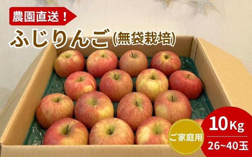 
                  ふじりんご　１０ｋｇ　２６～４０玉　ご家庭用　0044-2607
                
