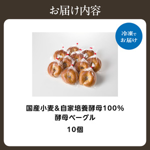 国産小麦＆自家培養酵母100％　酵母ベーグル10個 ベーグルセット プレーン ベーグルパン パンベーグル もちもちベーグル  酵母 ベーグル 065-09