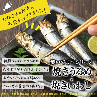 ふるさと納税 佐伯市 焼き うるめいわし 丸干し・焼き いわし 丸干し セット(総計54尾) |  | 02