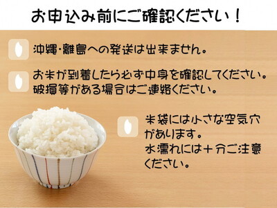 令和7年産 栃木県産 なすひかり 10kg JAなすの産地直送【大田原市・那須塩原市・那須町共通返礼品】〔P-393〕 ｜ 米 コメ こめ 白米 精米 新米