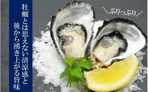 【予約受付開始】生食用殻付き牡蠣「Ostra Kunisaki」25～30個（殻付き重量40～100g/個）_2113R_イメージ3