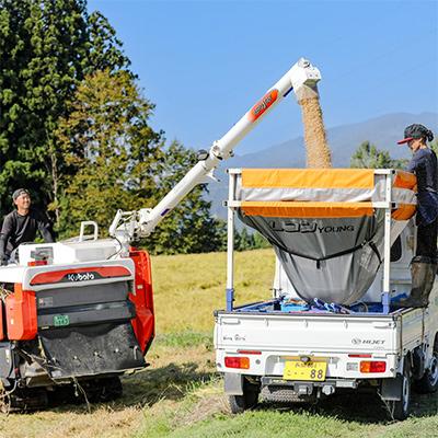 ふるさと納税 津南町 【毎月定期便】魚沼の山村津南町で米農家夫婦が育てた魚沼産従来コシヒカリ3kg全6回 |  | 02