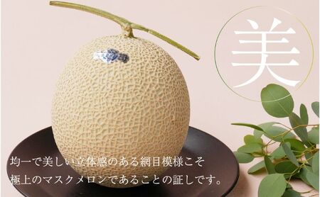 【6ヶ月定期便】クラウンメロン【並（白等級）】大玉（1.4kg前後）3玉入り 