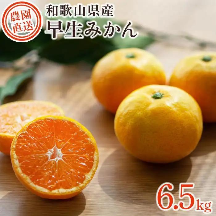 訳あり 早生みかん 6.5kg みかん