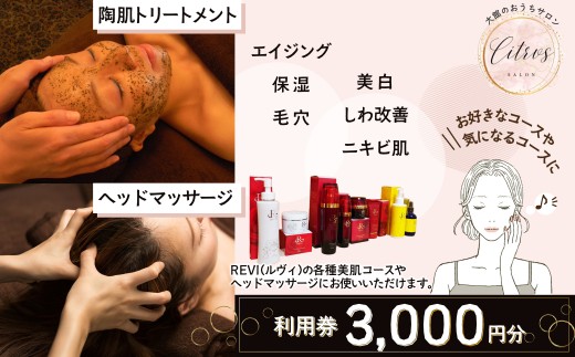 citrusサロン 利用券 3000円 50P8415 / 美顔 施術 エステ サロン エステサロン チケット 体験 東北 秋田 大館 施術コース 美容 美容施術 美肌  お肌 手入れ お手入れ 肌質改善 トリートメント 陶肌 美白 ハーブピーリング エイジングケア UVダメージ 天然ハーブ 美容成分 肌トラブル 敏感肌 アトピー  デコルテマッサージ チケット