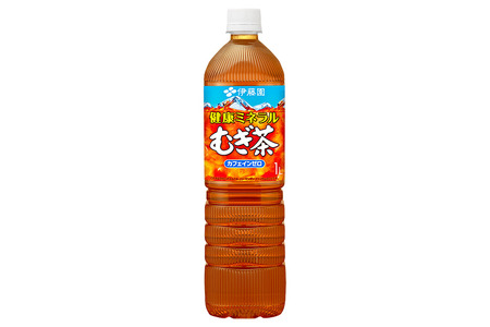 《定期便2ヶ月》健康ミネラルむぎ茶 伊藤園 ＜1L×12本＞【2ケース】