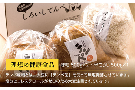 【身体にやさしい発酵食品！】てんぺ味噌・米こうじセット【しろいし特産物直売所】 [IAI001]
