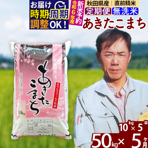 ※令和6年産 新米予約※《定期便5ヶ月》秋田県産 あきたこまち 50kg【無洗米】(10kg袋) 2024年産 お届け時期選べる お届け周期調整可能 隔月に調整OK お米 みそらファーム