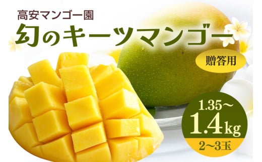 【 先行予約 2026年 発送 】高安マンゴー園 キーツマンゴー 1.35-1.4kg(贈答用) 沖縄県産  完熟マンゴー 果物 くだもの フルーツ 沖縄 お取り寄せ ギフト 産地直送 農家直送 糸満市