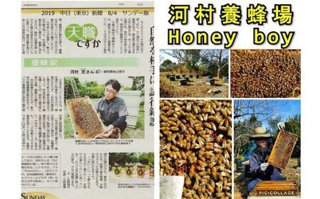 013-62　ふじのくに新商品コレクション　最高金賞受賞　ハニーボーイ　国産　はちみつとミックスナッツ