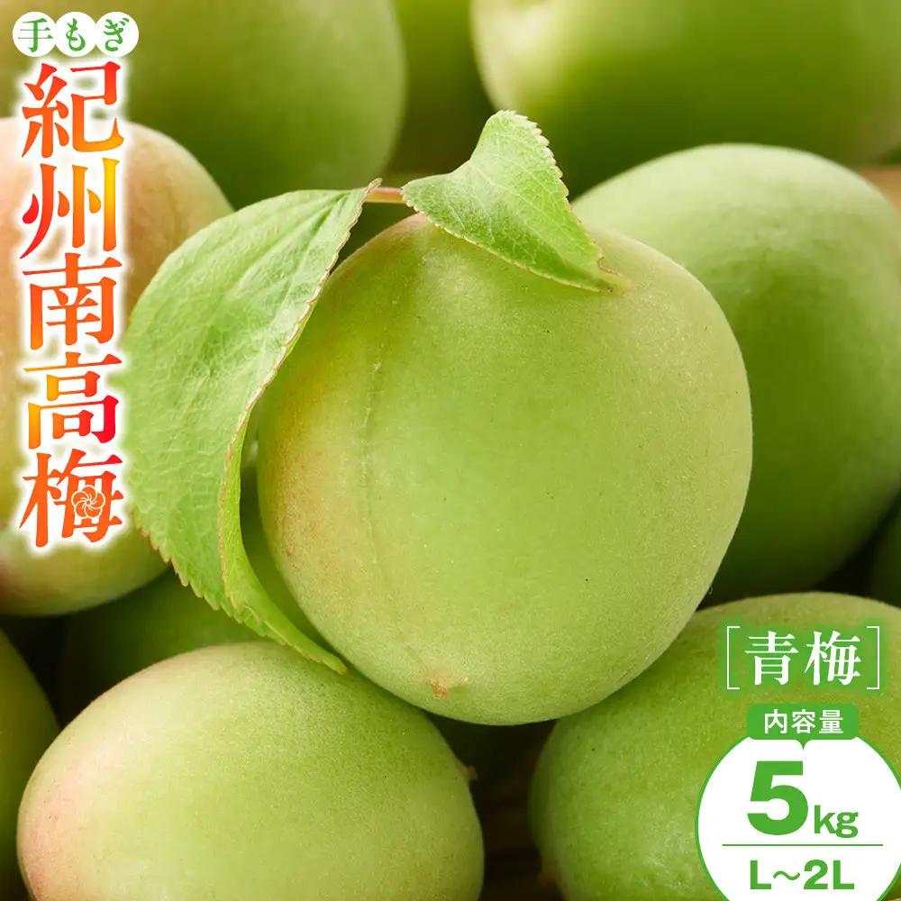 手もぎ 青梅 南高梅 5kg L～2Lサイズ 谷本農園