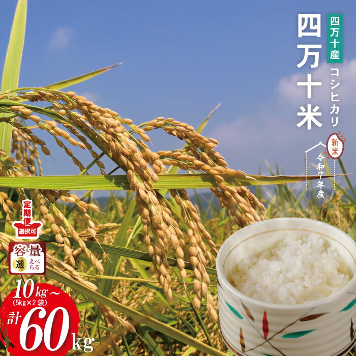 【ふるさと納税】【令和7年産】四万十産 四万十米 コシヒカリ 10kg 30kg 60kg 定期便 国産 こしひかり 5kg 令和7年 2025年 精米 白米 米 おこめ こめ コメ ご飯 ごはん ふっくら もちもち 四国 高知 四万十 しまんと 農法米 募金 四万十川 送料無料 お取り寄せ
