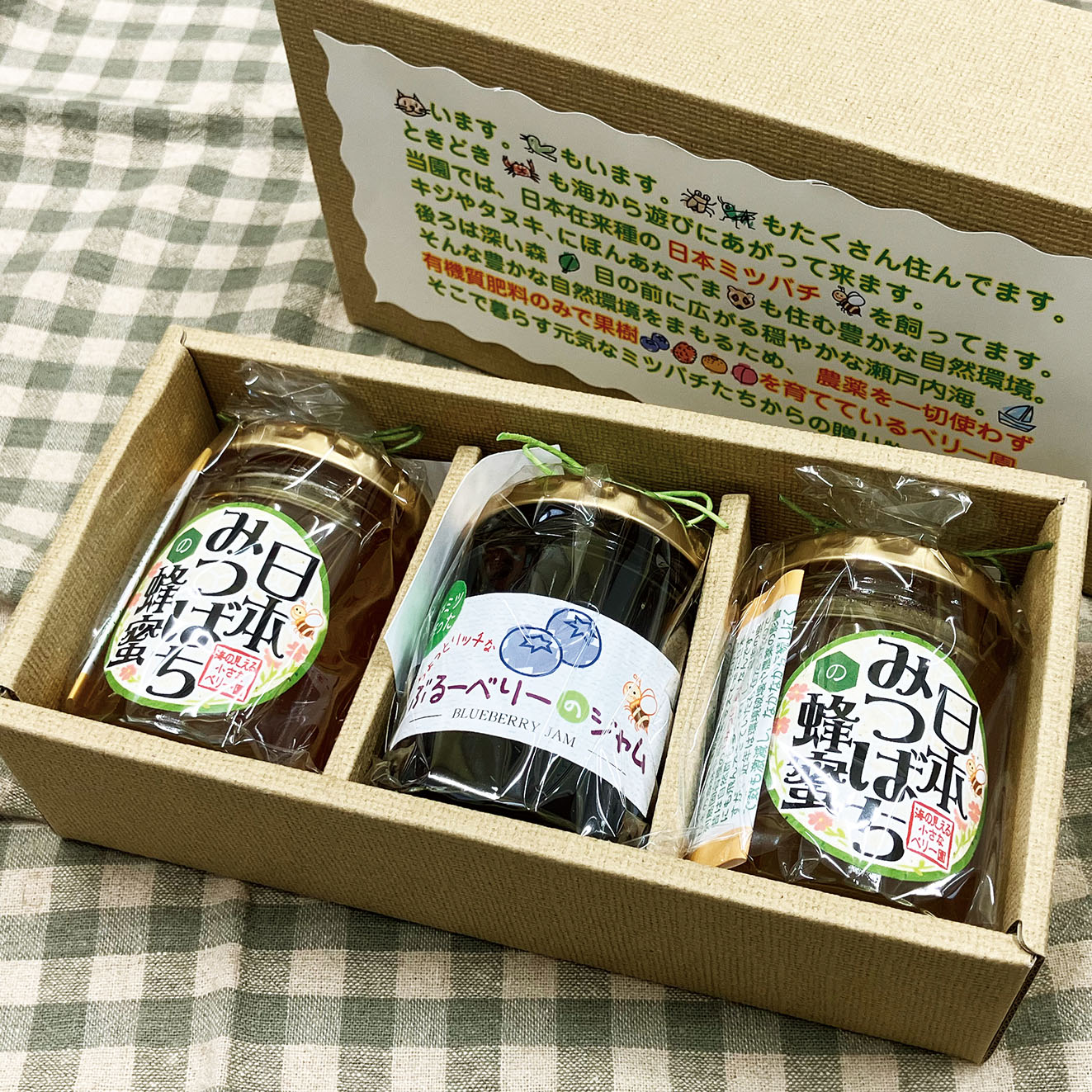 【ふるさと納税】日本みつばちのハチミツ非加熱とハチミツのみで加糖したブルーベリージャムのセット 海の見える小さなベリー園 山口県 防府市 A-B42 はちみつ 国産 天然 日本ミツバチ ブルーベリー ジャム 砂糖不使用 無添加 無農薬 高級 ギフト