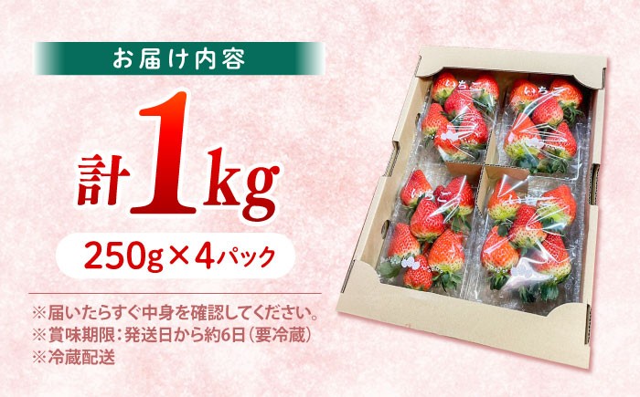 いちご 約1kg