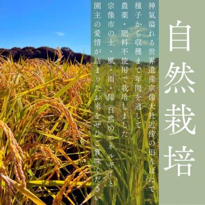 ふるさと納税 宗像市 令和8年産 自然栽培米ひのひかり5kg〈栽培期間中農薬・肥料不使用〉【ほのわ】_HA1609 |  | 01