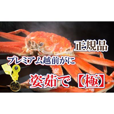 ふるさと納税 越前町 桐箱入り!完全なる越前がに【極】越前がにの皇帝 × 1杯 ≪浜茹で≫【2・3月発送分】
