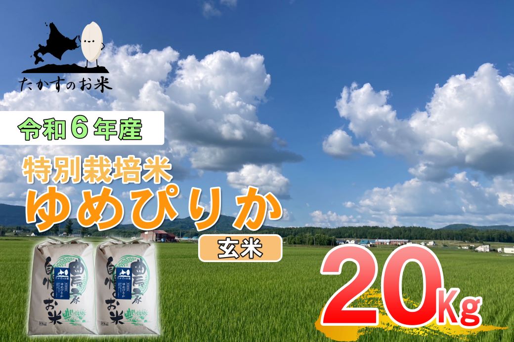 A225【 令和6年産 】 ゆめぴりか （ 玄米 ） 特Aランク 北海道 米 を代表する人気の品種 10㎏×2袋 20㎏ 北海道 鷹栖町 たかすのお米 米 コメ こめ ご飯 玄米 お米 ゆめぴりか コメ 玄米