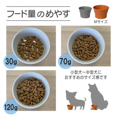 ふるさと納税 瑞浪市 美濃焼 陶器製ペット用フードボウル【丸高台プレーンフードボウル(M/ピンク)pet112】 |  | 02