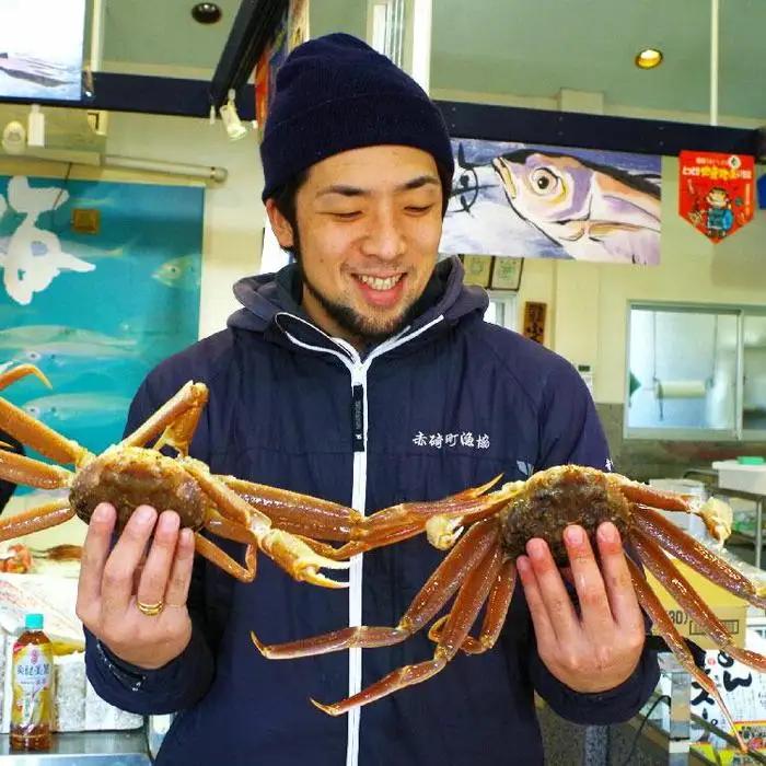 先行予約 訳あり 松葉ガニ 生 2枚 年明け配送 カニ
