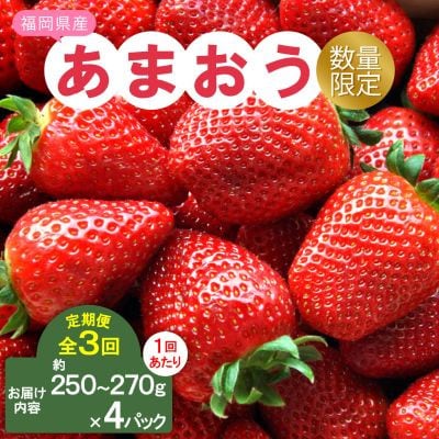 【発送月固定定期便】福岡県産あまおう約250~270g×4パック全3回【配送不可地域：離島】