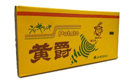 【予約：2025年10月中旬から順次発送】煮くずれしにくく、カレーや肉じゃがにピッタリ！JAきたみらいから直送する新鮮じゃがいも「黄爵」10kg ( 野菜 期間限定 芋 北海道 )【104-0002-