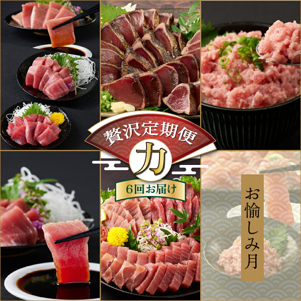 【ふるさと納税】【贅沢定期便「力」/全6回】タカシン水産厳選 高知の海鮮セット 6ヶ月連続 マグロ 刺身 刺し身 魚 惣菜 鰹のたたき 海鮮丼 魚介類 食べきりサイズ 小分け 冷凍 訳あり 不揃い 規格外 定期 連続 150,000円 寄付額見直し tk109