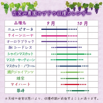 【2026年先行受付】岡山　花笑み農園の『ニューピオーネ＆BKシードレス』1kg(2房)PB-1【配送不可地域：離島・北海道・沖縄県】