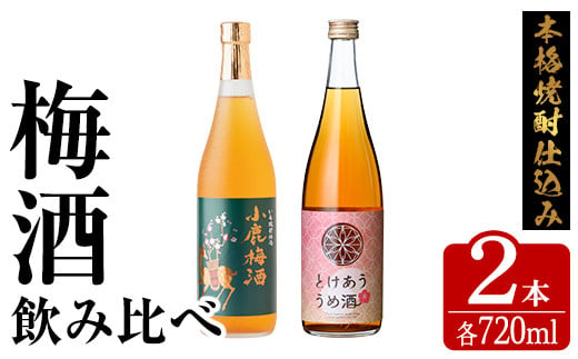 2153 【年内配送12月8日入金まで】梅酒 本格焼酎 仕込み 飲み比べ 720ml × ２本