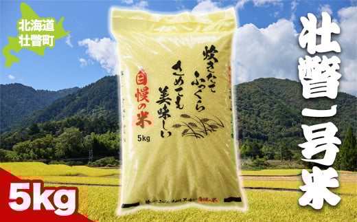 壮瞥1号米5㎏ ふるさと納税 人気 おすすめ ランキング 北海道 壮瞥 米 白米 精米 自家精米 希少 ご飯 おにぎり おむすび 丼 贈り物 贈物 贈答 ギフト 大容量 詰合せ セット 北海道 壮瞥町 送料無料 SBTA033