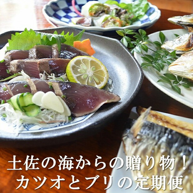 【ふるさと納税】 3回定期便 ブリのたたき 藁焼き 鰹のたたき 干物 初鰹 戻り鰹 天然 鰤 わら焼き かつおのたたき 鰤のたたき おまかせ 定期便 3回 魚 海鮮 刺身 刺し身 ふるさと納税かつお ふるさと納税ぶり ふるさと納税定期便 ［1226］