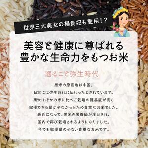 国産黒米 4.0kg(400g×10袋)