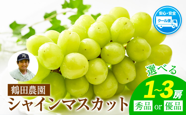 
            【先行予約】シャインマスカット 選べる 秀品 優品 約600g (1房) 約1.3kg (2～3房) 熊本県荒尾市産《8月下旬-9月下旬頃出荷》熊本県 荒尾市 フルーツ 果物 送料無料 葡萄 ぶどう マスカット 選べる 鶴田農園 1kg st-p
          