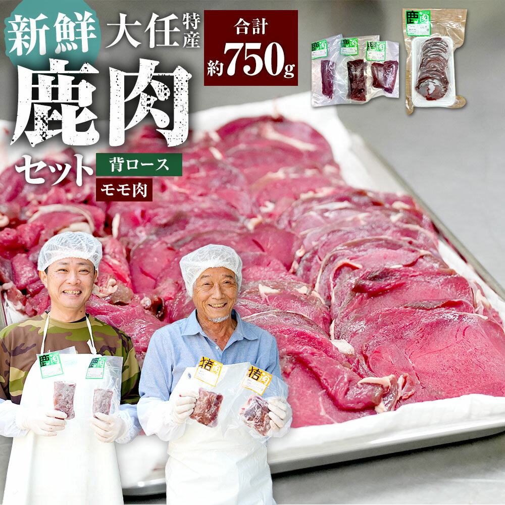 【ふるさと納税】大任特産 ヘルシー鹿肉セット（背ロース・モモ肉） 計約750g 鹿肉 ジビエ お肉 背ロース もも肉 冷凍 福岡県産 国産 福岡県 大任町 送料無料