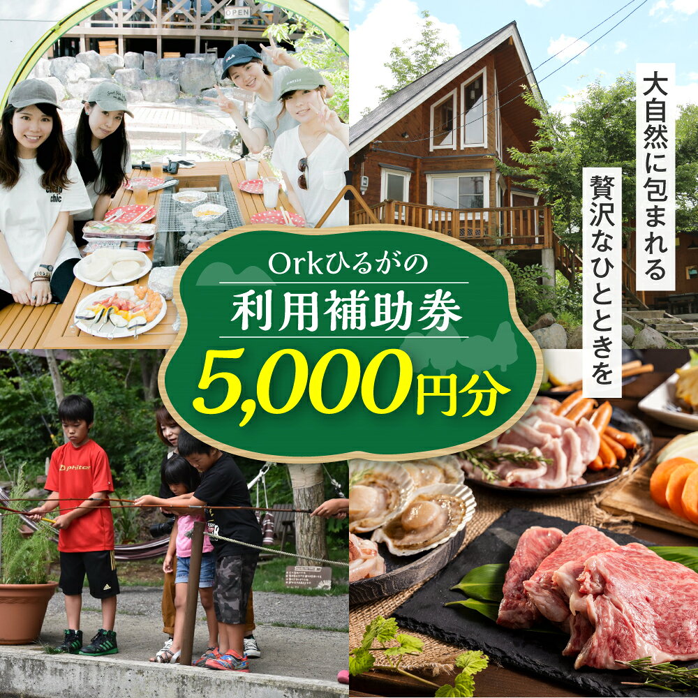 【ふるさと納税】 Orkひるがの 利用補助券 5000円分 1棟貸し 別荘 宿泊 貸し別荘 自然体験 BBQ 釣り堀体験 掴み取り体験 チケット 田舎体験 観光 旅行 コテージ泊 サウナ付きコテージ バーベキュー 郡上市 岐阜県 ひるがの高原 郡上観光