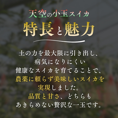 【予約受付中・7月下旬以降順次発送】 天空のスイカ 【数量限定】 すいか 西瓜 小玉スイカ 栽培期間中農薬不使用　鳴門　 甘い 小玉 果物  フルーツ ギフト 人気商品  敬老の日 　スイカ_イメージ