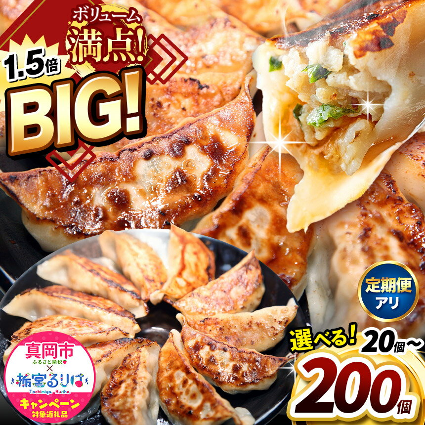 【ふるさと納税】定期便 年内発送 たじまや オリジナル ビッグ 餃子 ぎょうざ | TAJIMAYA 田島 タジマヤ 大きい BIG 売れ筋 人気 好評 リピート 旨味 もっちり ジューシーお肉 冷凍食品 中華 栃木県 真岡市 送料無料（クラウドファンディング事業）