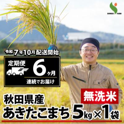 ふるさと納税 大館市 新米先行受付【定期便6ヶ月】令和7年産秋田県産あきたこまち(無洗米)5kg