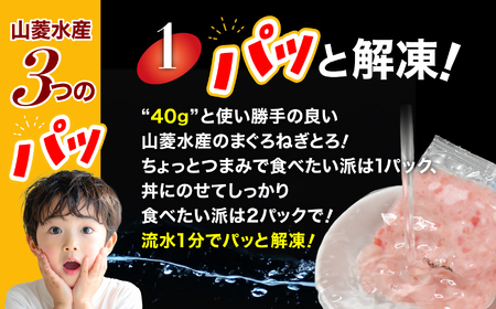【ネギトロ】ミニパッとろ丼240g(約40g×12袋) ねぎとろ 【いわき市】