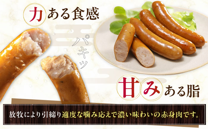 【全2回定期便】【結着剤・発色剤・保存料不使用】 放牧豚 粗挽きウィンナー  2パック（500g/パック）《厚真町》【ファーマーズファクトリー株式会社】 ソーセージ ウインナー チョリソー 粗挽き 冷