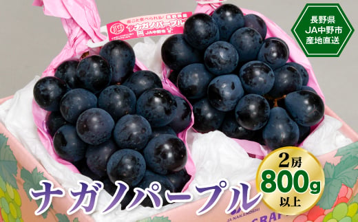 
                  【2027年先行受付】　8月中旬～9月中旬お届けJA中野市産地直送!ナガノパープル2房800g以上_ ぶどう 葡萄 ナガノパープル 果物 くだもの フルーツ 長野 産地直送 人気 おすすめ 送料無料 お取り寄せ 【1218973】
                