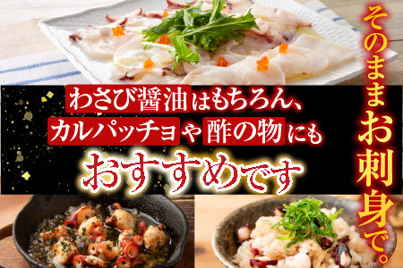 【北海道根室産】たこ足800g前後～1.4㎏前後×1本 A-76028