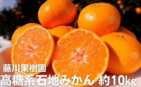 みかん 高糖度系 石地みかん 柑橘 みかん【約10kg】