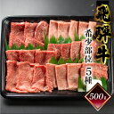 【ふるさと納税】 【数量限定】飛騨牛 希少部位 5種 焼肉 盛り合わせ 計500g 各100g 菊の井 (ラムシン、ボンショー、カイノミ、トモサンカク、シキンボウ) おすすめ 牛肉 肉 和牛 赤身 人気 牛肉セット 肉ギフト 国産 贈答品 焼き肉 ギフト 【冷凍】 25000円 岐阜県 下呂市