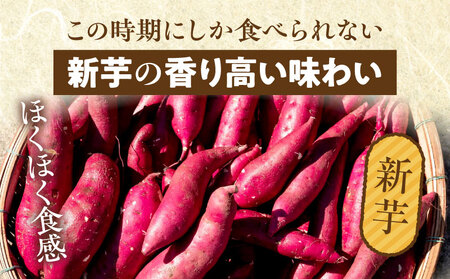 新芋＆熟成やきいもの食べ比べセット1kg 香り高い味わい ほくほくした食感 糖度50度以上