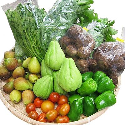 ふるさと納税 榛東村 八州高原マルシェ自慢の旬な野菜たち |  | 01