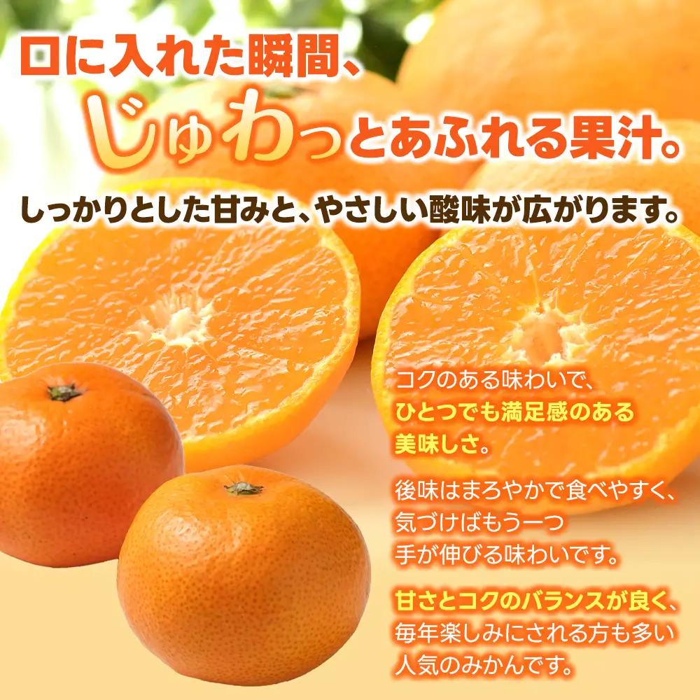 みかん ゆら早生みかん 約10kg【mntf0008】