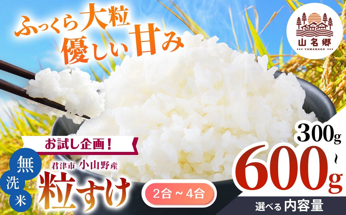 
            新米 【9月上旬から順次発送】 令和7年産 君津市小山野産 粒すけ 無洗米 選べる容量 2合 3合 4合 レターパックライト |  あかかげ農園 メディアで紹介 ！ 山名郷米 やまなごう まい 少量 千葉稲作 しんまい シンマイ こしひかり 千葉県産 むせんまい 米 コメ こめ お米 千葉県 君津市 きみつ
          