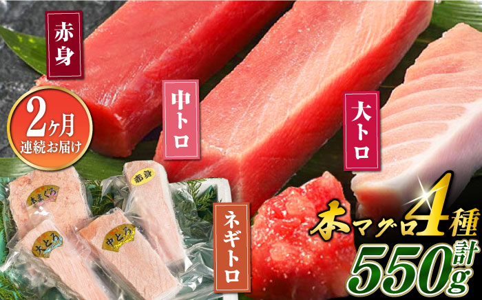 
            【全2回定期便】対馬産 本マグロ 4種 計550g（赤身/中トロ/大トロ/ネギトロ）《対馬市》 【対海】 新鮮 マグロ 鮪 本鮪 赤身 中トロ 大トロ ねぎとろ 海鮮 冷凍 [WAH033]
          