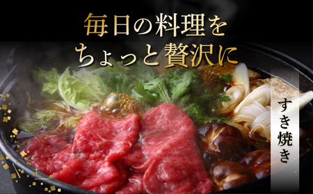 【2025年11月発送】担当者イチオシ!! 石垣島産《黒毛和牛》切り落とし 1kg （500g×2）お肉 肉 牛肉 冷凍 すきやき すき焼き 牛丼 和牛 しゃぶしゃぶ 八重山食肉センター 切落とし Y